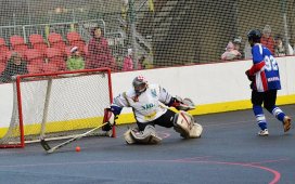 hokejbal-extraliga-vlasim-kravina-www-jiskra-benesov-cz.jpg