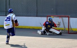 hokejbal-vlasim-kert-park-praha-www-jiskra-benesov-cz.jpg