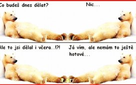 medvedi-1398164258.jpg