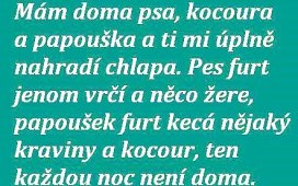 nahrazka-chlapa-1396511658.jpg