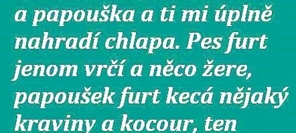 nahrazka-chlapa-1396511658.jpg