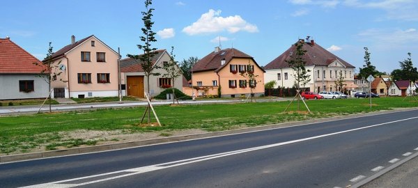 namesti-v-domasine-se-jiz-zelena-1406030167.jpg