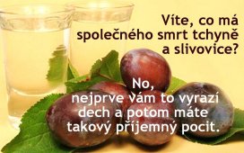 tchyne-a-slivovice-1394476762.jpg