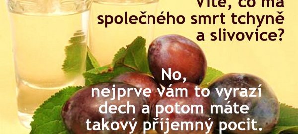 tchyne-a-slivovice-1394476762.jpg