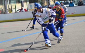 vlasim-ukazala-sve-kvality-a-porazila-kert-1411376604.jpg