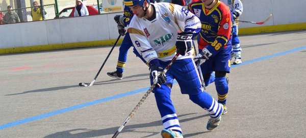 vlasim-ukazala-sve-kvality-a-porazila-kert-1411376604.jpg